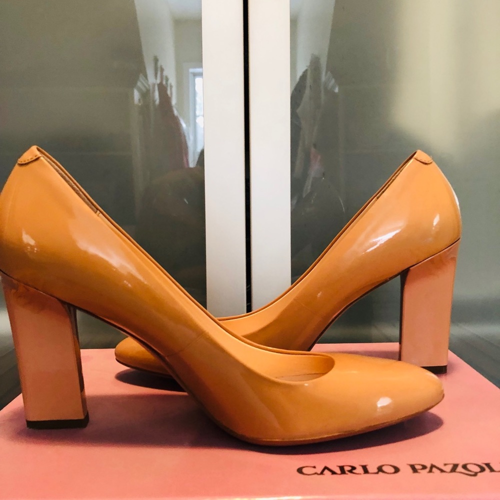 New Elegant pump